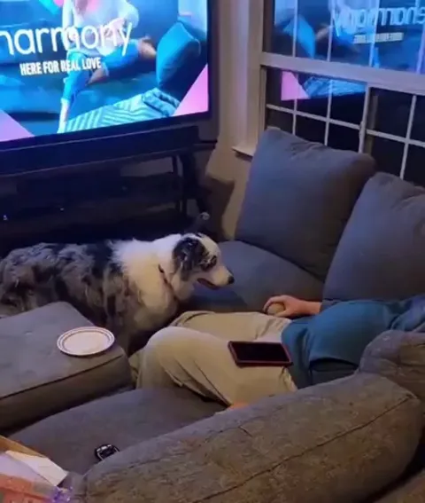 "He'll wake up soon and throw it..."