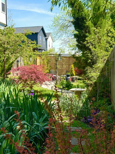 It’s too hard to keep working when this is right outside my back door