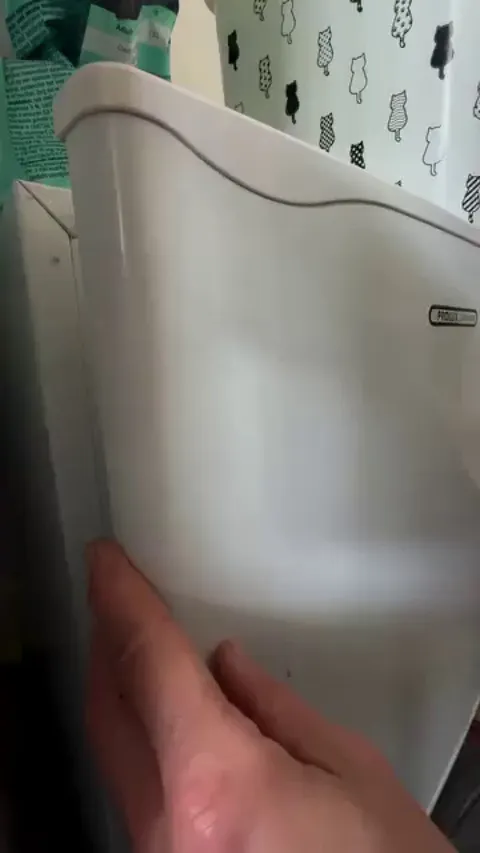 waking up a tortoise after 5 months of hibernation in the fridge