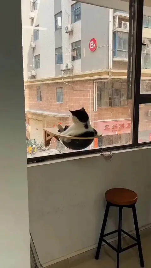 The King watching over his kingdom..