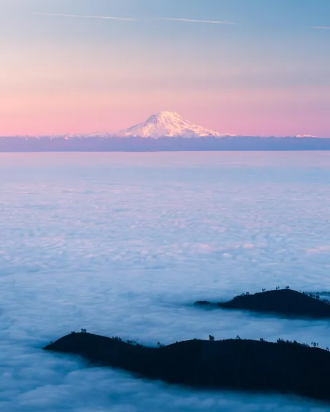 Standing Thousands of Feet Above an Inversion in Olympic National Forest, WA [3730x4663][OC]