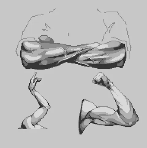 Muscle studies i did in the past! What   did you think about it ?
