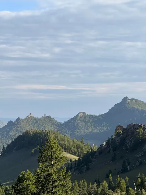 Pictures from my second trip to Mongolia (Summer 2025)