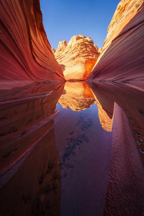 The Wave in Arizona [1333x2000] [OC]