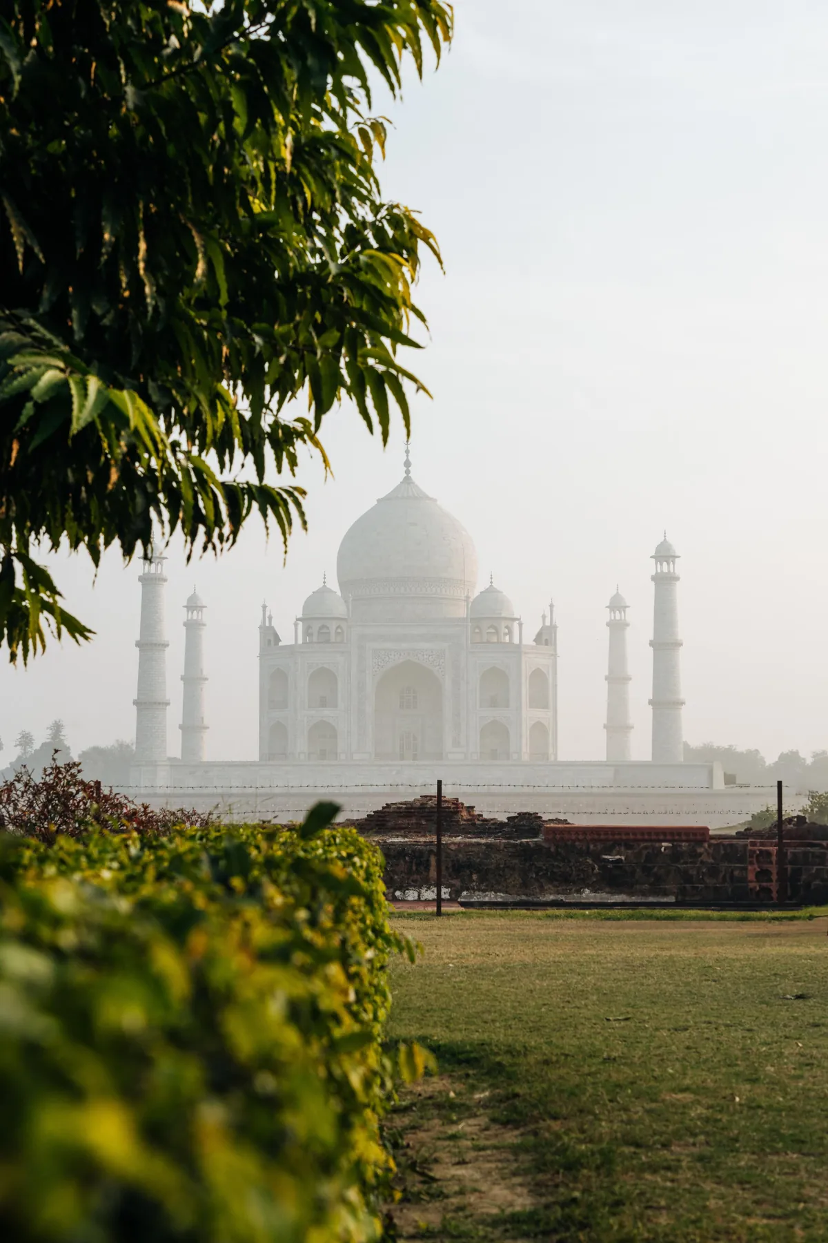 My first time in India. The people were amazing! I felt really welcomed. And chai is so addictive 