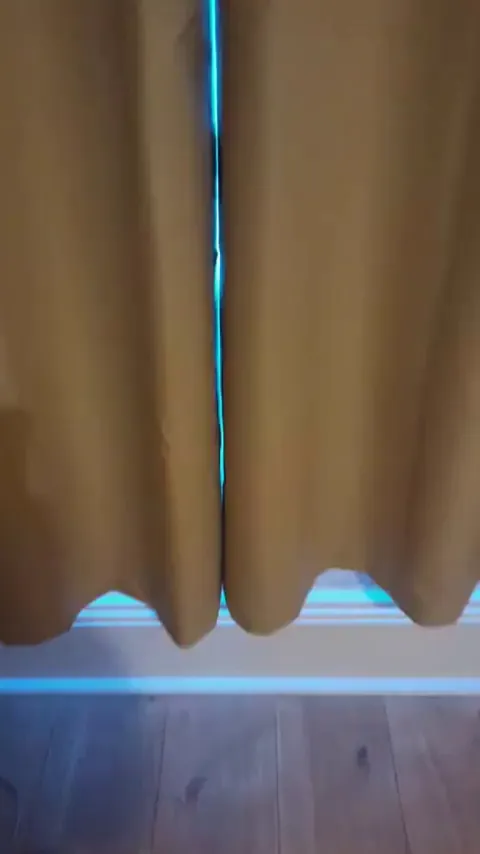 My sister fosters cats. This is how she found 3 of them this morning.