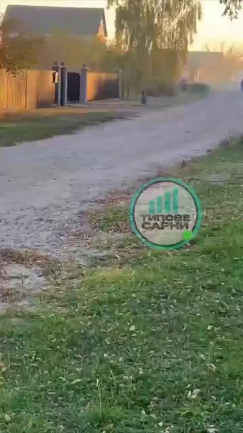 Kangaroo spotted in Ukraine. damn global warming got some hands
