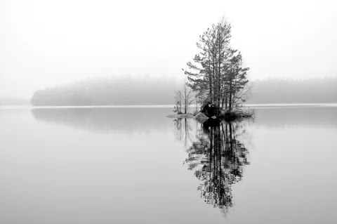 Misty morning lake