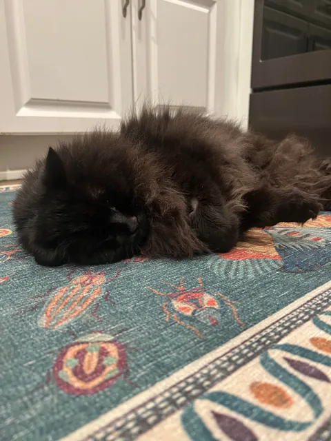 From gotcha to goodbye