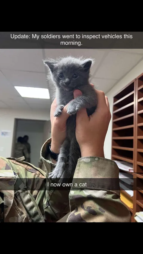 A year ago, this little nugget was found inside a Humvee. Introducing Midnight.