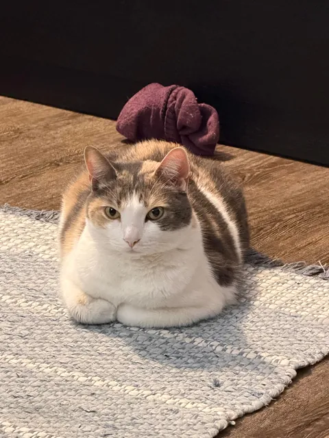 The crime and the criminal