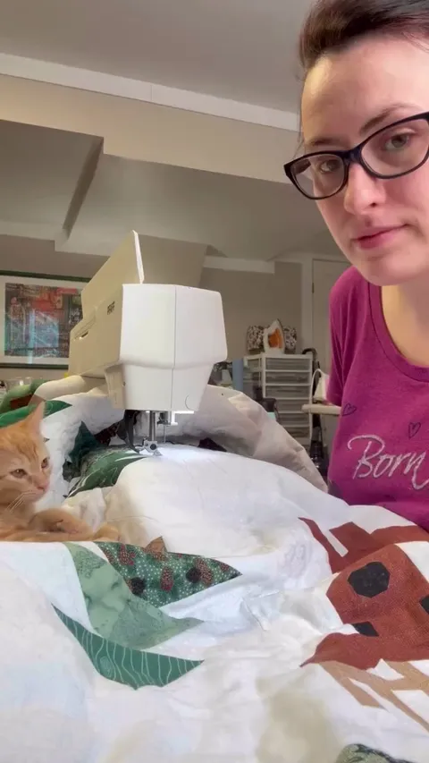 Peaches the Quilt Tester