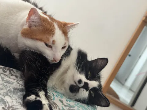 the first thing I see when I wake up