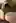 [31/31][MF4M][Ontario]