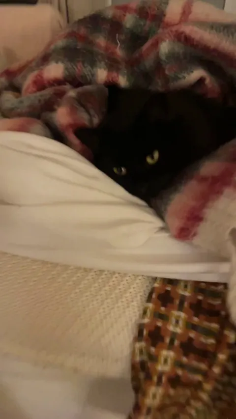 Choo Choo has something she would like to get off her chest