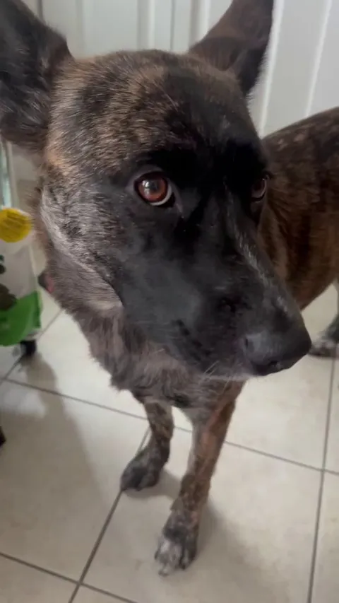 She has me well trained.