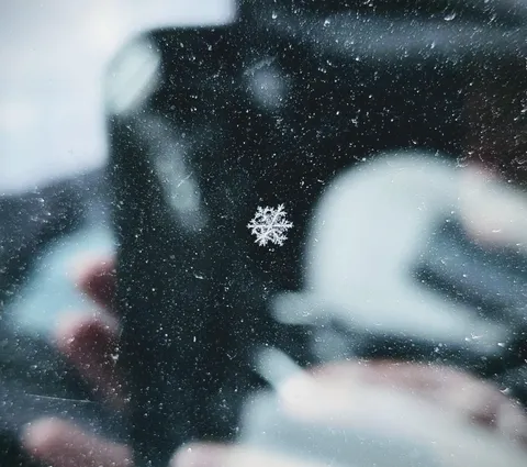 The picture I took of a snowflake this morning