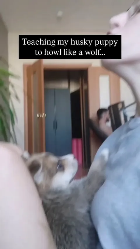 Maybe he’s a tiny werewolf 🐺