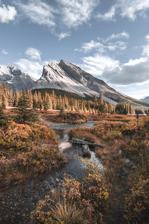 Grizzly and two cubs cut the hike short, still managed to get my best shot to date - Elbow Lake, Kananaskis, Alberta, Canada - [3648x5472] [OC]