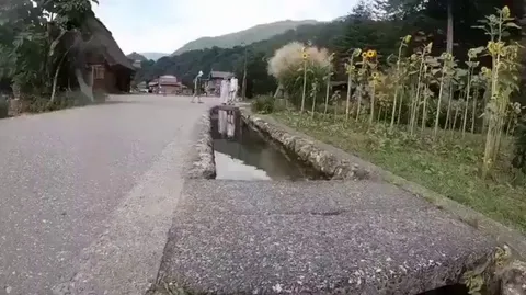 Drainage Canals in Japan are so clean they even have Koi Fish in it