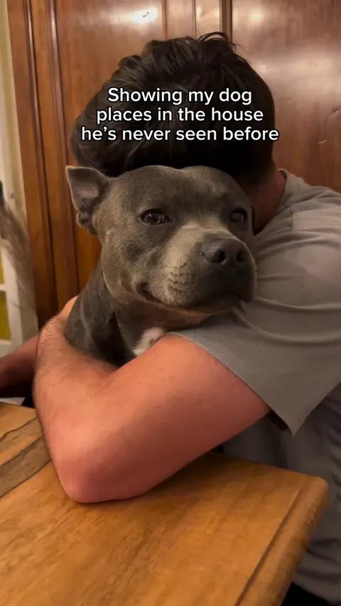 Showing my dog places he’s never seen before. 👉🏽👈🏽