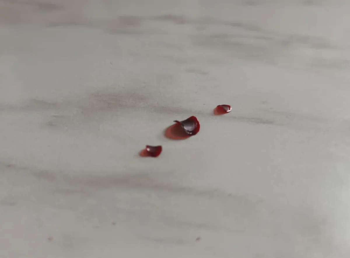 Left some blood droplets on the kitchen counter, overnight, they turned into a pringle shape