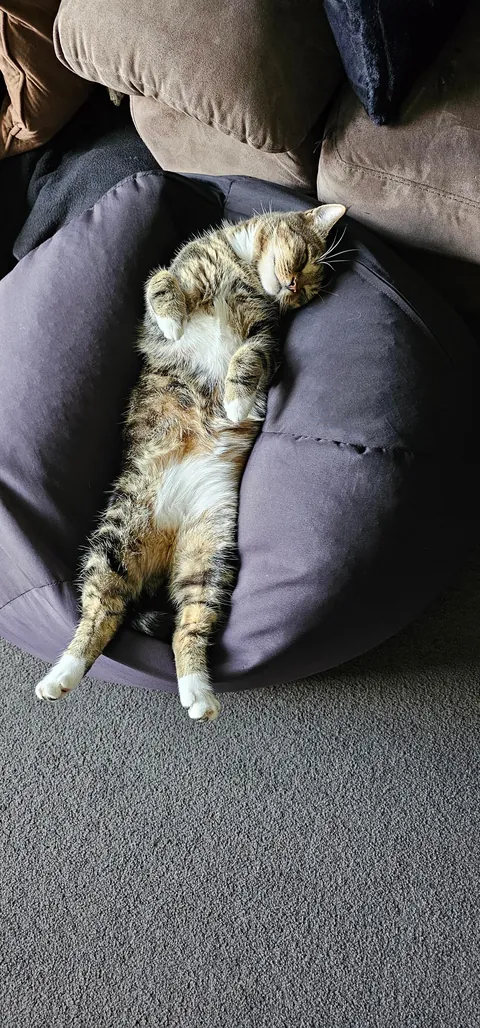 The way he sleeps. From streets to sleeps.