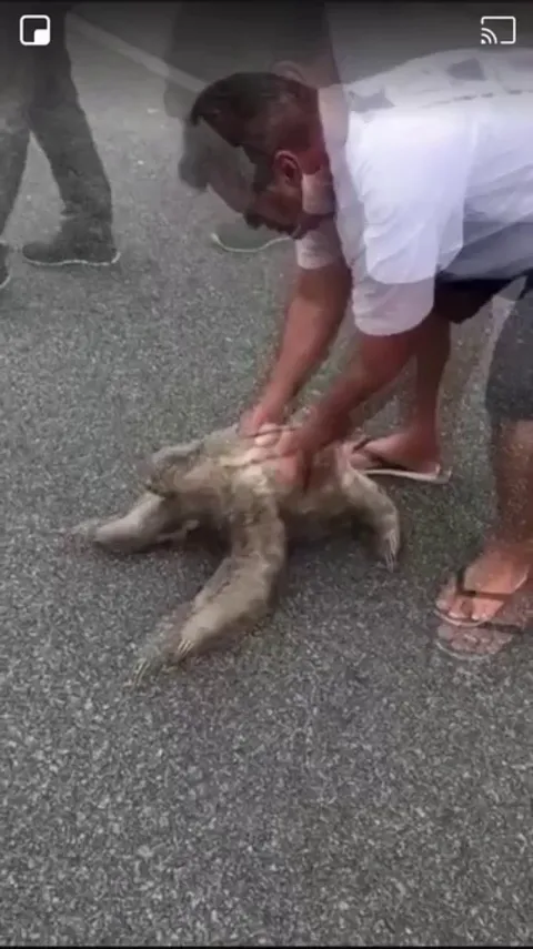 That face at the end