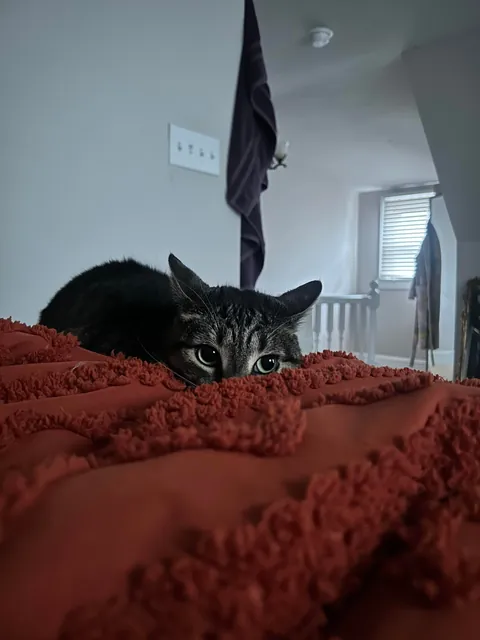 Look at this creep 😩 Show me your lunatic stalkers pls. I’ll go first: