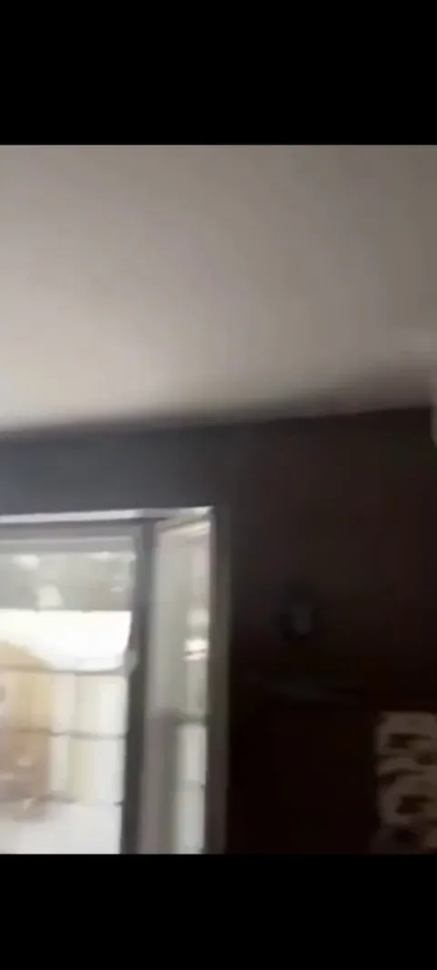 Don't eat the muffins