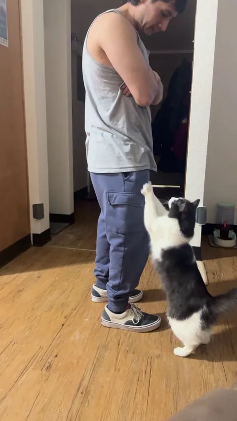 How he asks for attention.