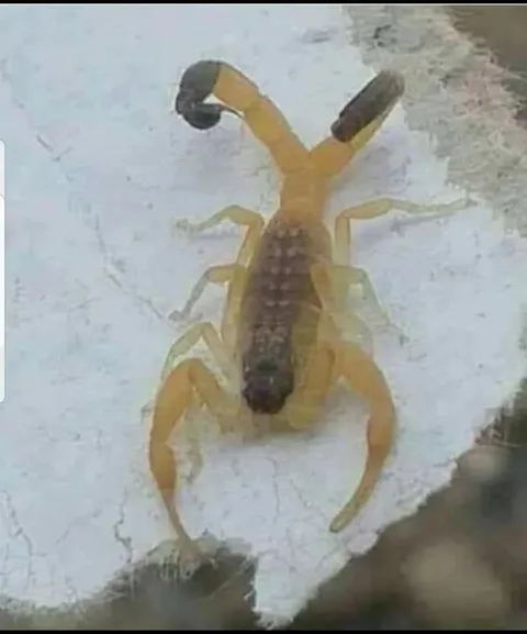 Of all the mutations that could happen. 