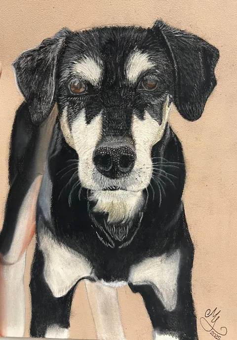 My dog has been with me for 15 years, this is a drawing I made of her when I was 10, vs a drawing I just finished at 24