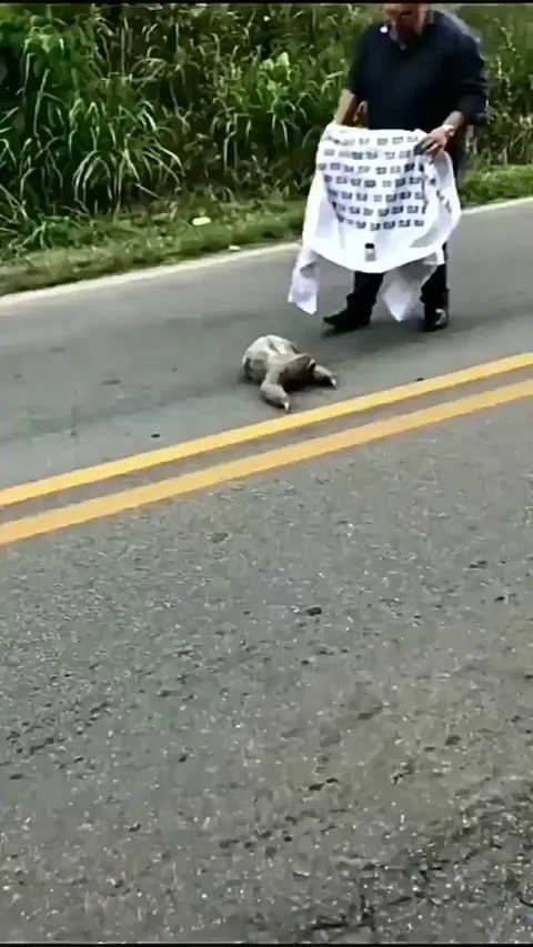 Sloth wave of thanks :)