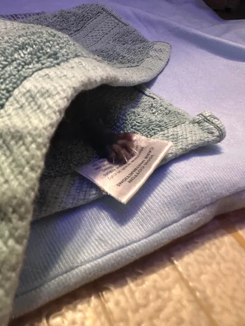 It was only a week to us, but it was their whole life.