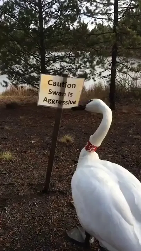 He took that very personally