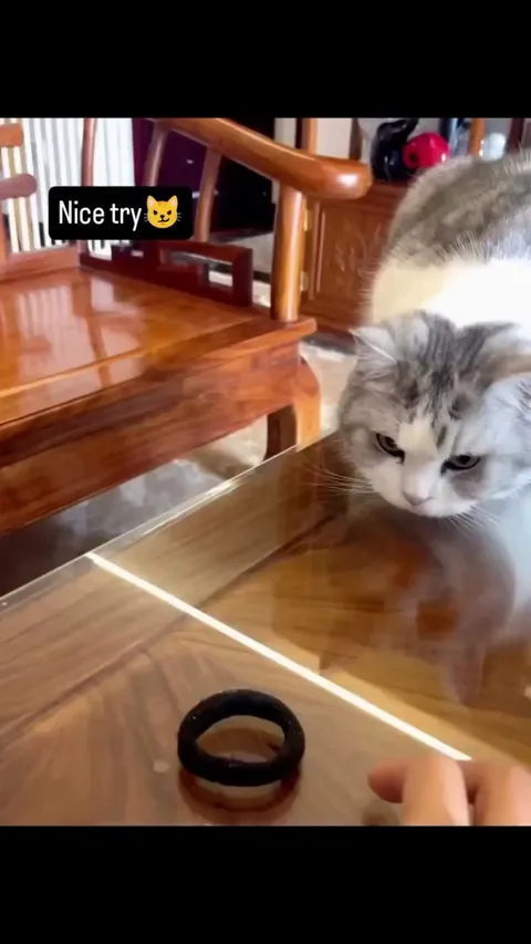 He would have been the best catcher in baseball