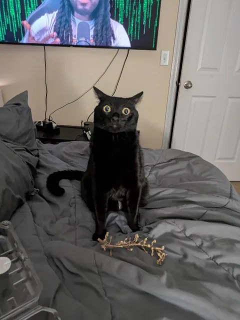 He always watching me