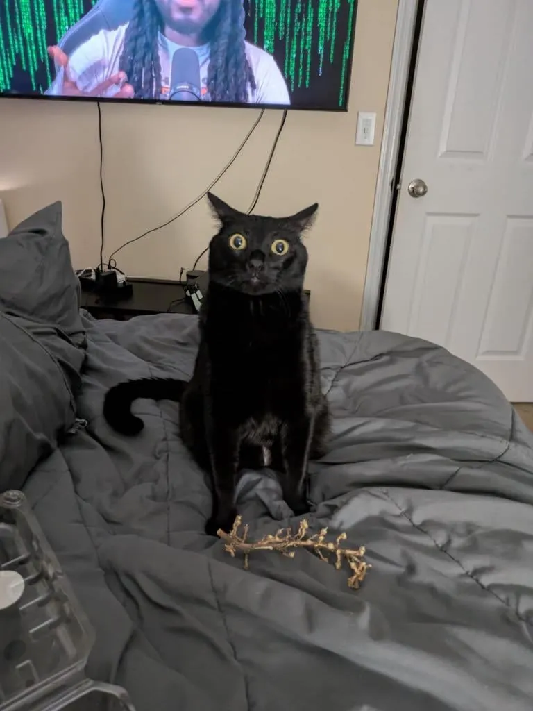 He always watching me