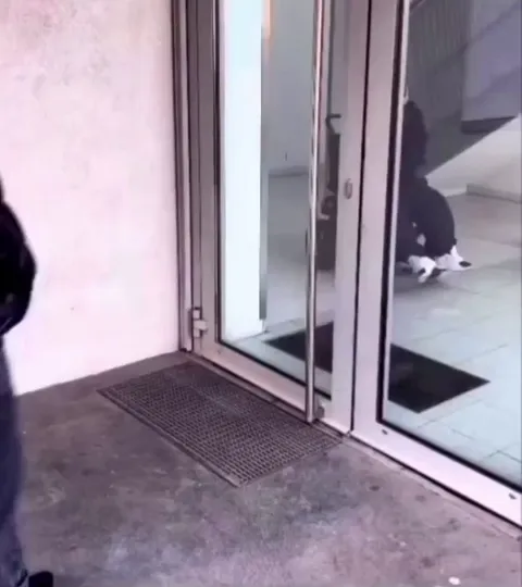 Parking in a disabled spot