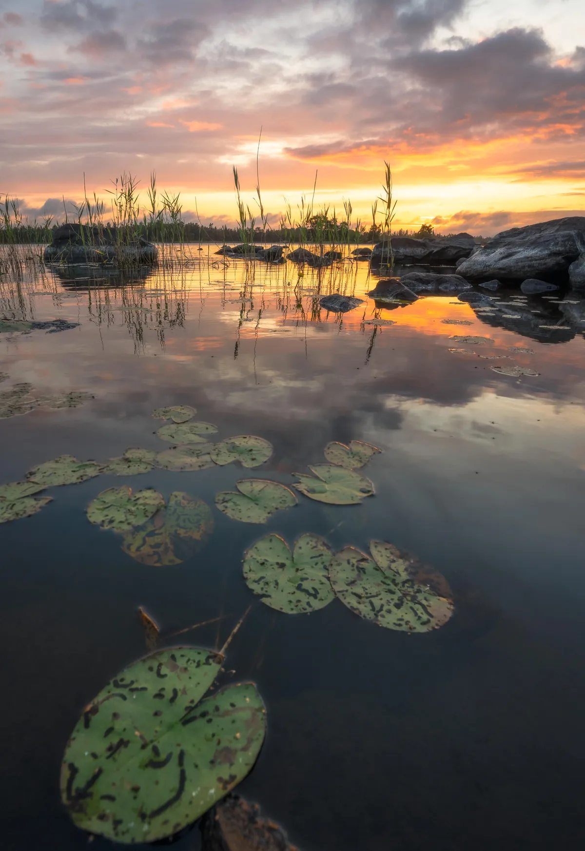 Lovely evening at the shore of lake Åsnen, Sweden [2405x3500][OC]