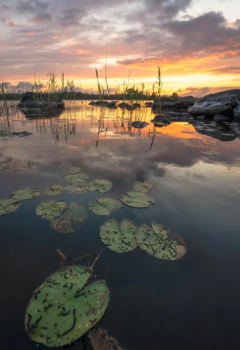 Lovely evening at the shore of lake Åsnen, Sweden [2405x3500][OC]