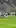 Mathys Tel freekick attempt