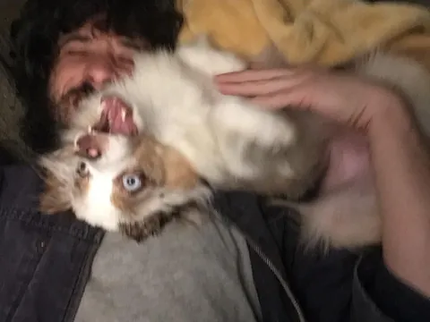 Her name is actually Derpy. For good reason