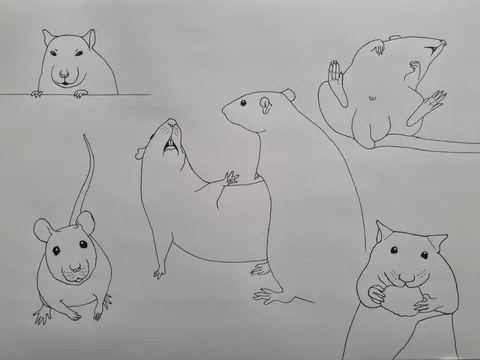 Some humorous ratty sketches
