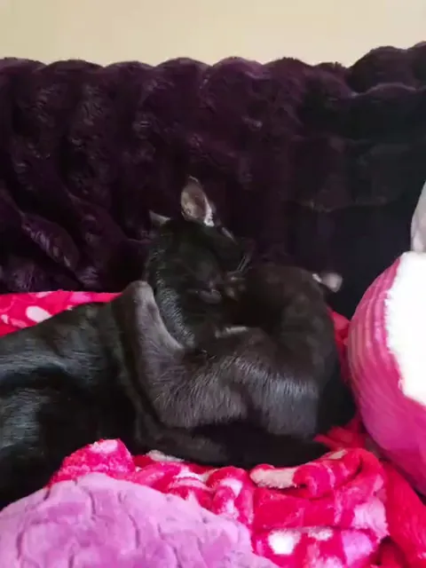 it's a daily love fest with these two