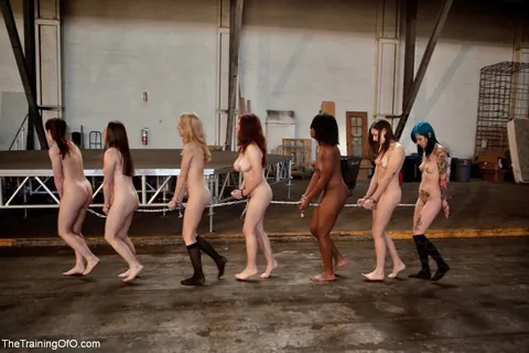 follow the leader ;) 