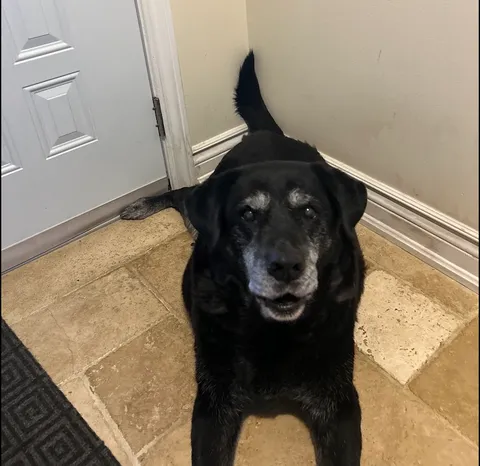 Marty McFly is 13 now and he remains a good boy