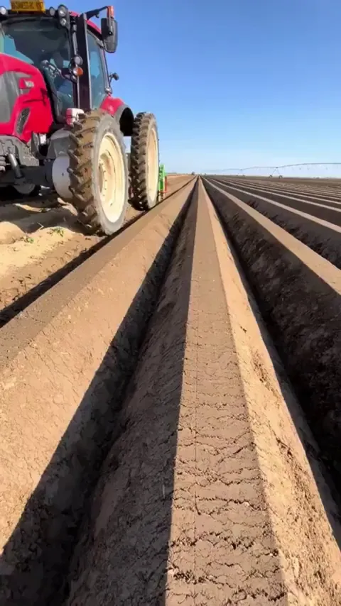 Precisely tilled soil