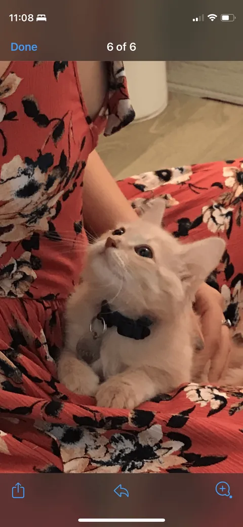 Gahwd I love him 💕